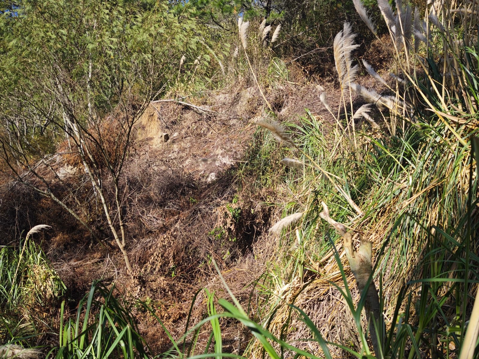 Terreno en venta en San Rafael