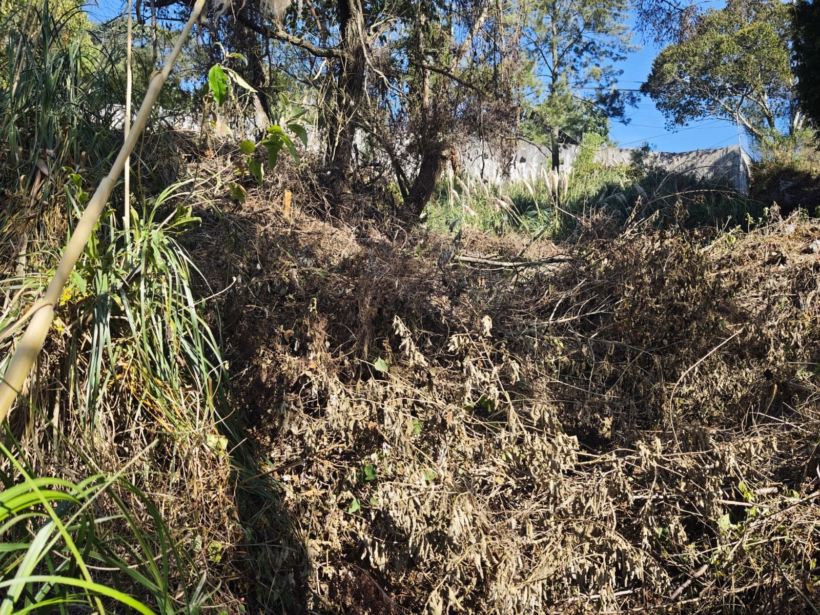 Terreno en venta en San Rafael